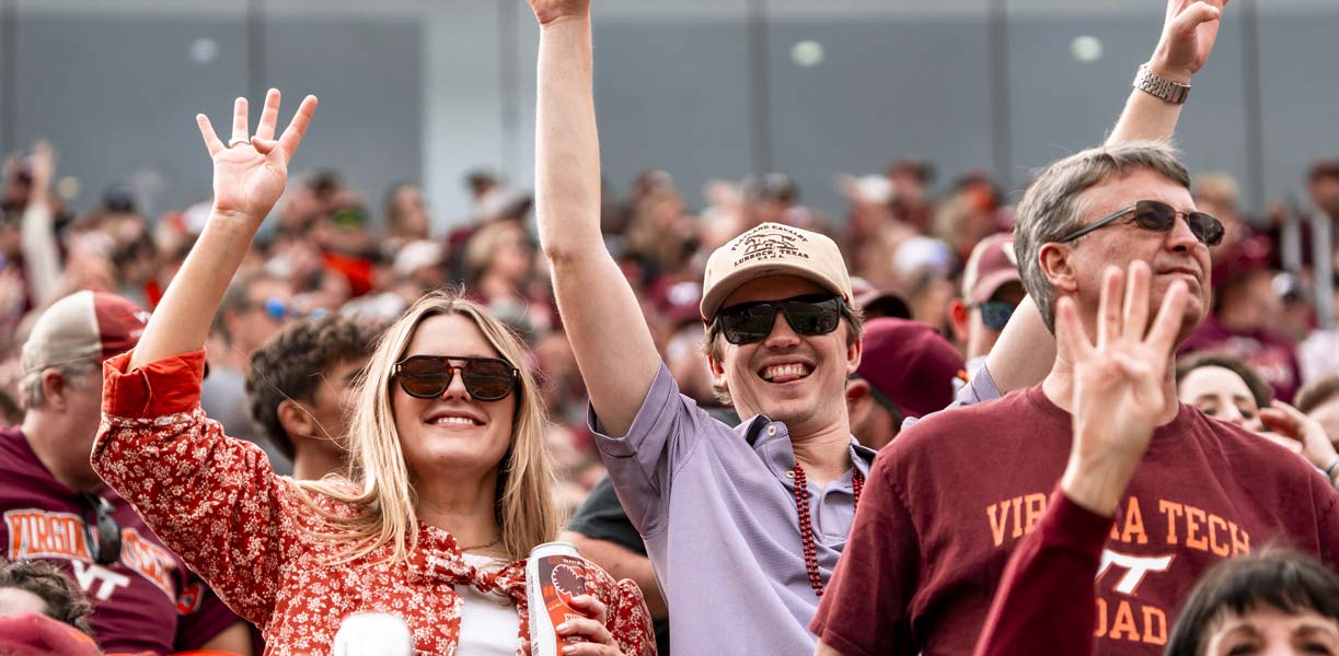 fans cheering in the stands